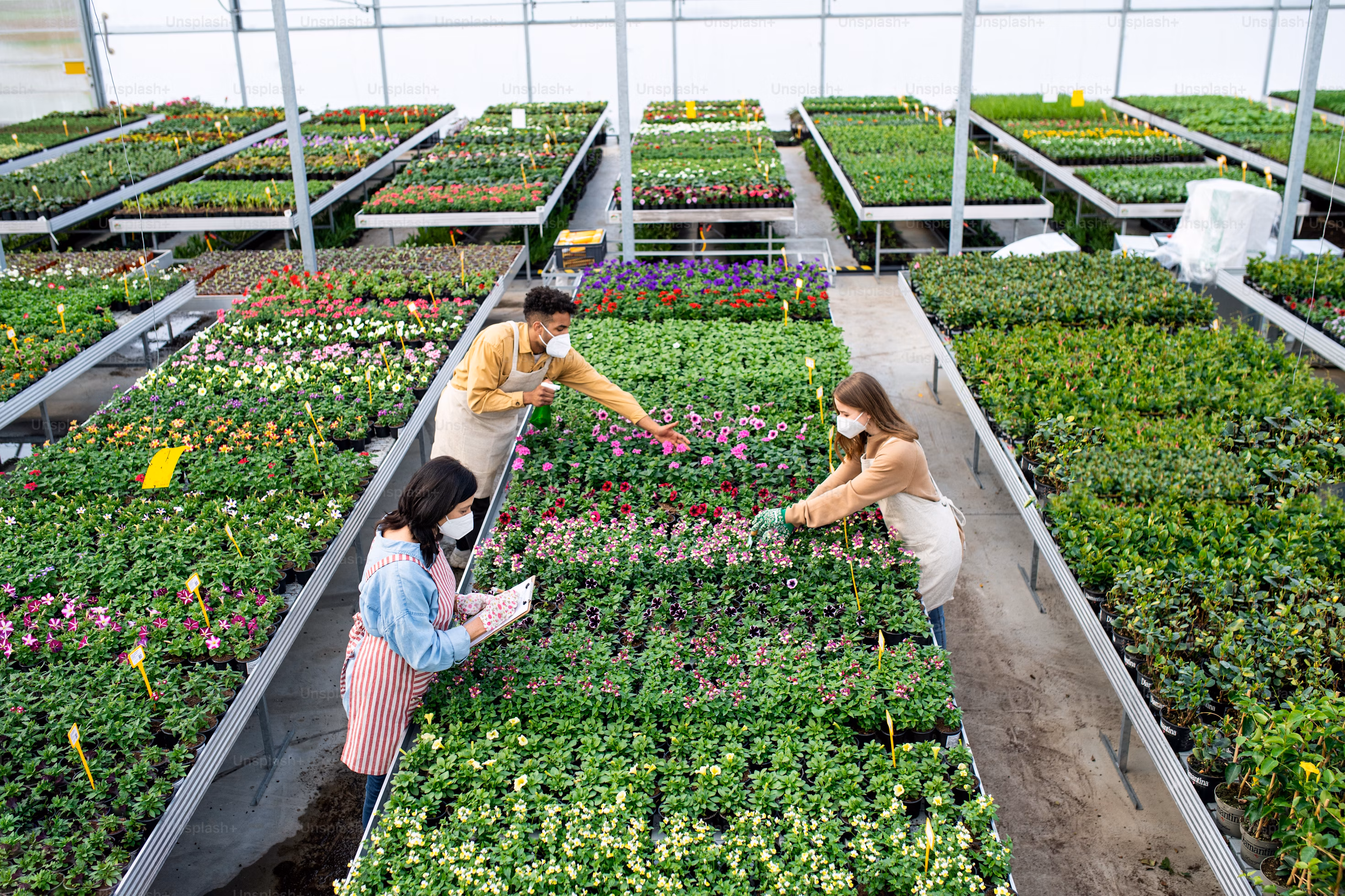 Smart Hospital System